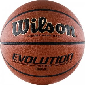 Мяч WILSON Evolution - WTB0586