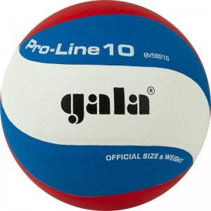 Мяч вол. GALA Pro-Line 10 - BV5821SA