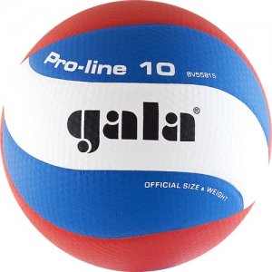 Мяч Gala Pro-Line 10 - BV5581S
