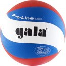Волейбольные мячи  : Gala  