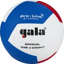 Gala : Мяч вол. "GALA Pro-Line 12", р.5 BV5595SA 