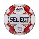 Select  : Мяч футбольный Select Flash Turf IMS  810708 
