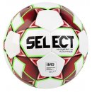 SELECT : Мяч Select Numero 10 ADVANCE 810520 