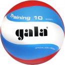 Gala : Мяч Gala Training 10 BV5561S 