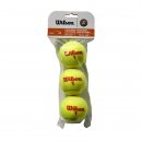 WILSON : Мяч теннисный WILSON Roland Garros WRT147700 