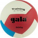 Jogel : Мяч вол. "GALA Training Heavy 12 " BV5475S 