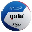 Gala : Мяч вол. "GALA Pro-Line 12", р.5 BV5595S 