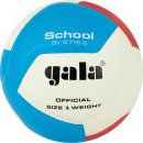 Jogel : Мяч вол. "GALA School 12" BV5655S 
