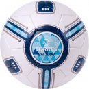 Torres : Мяч футбольный TORRES BM1000 F323625 F323625 