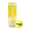 HEAD : Мяч теннисный HEAD Team 3B 575703 