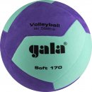 Gala : Мяч волейбольный GALA 170 Soft 12 BV5685SCF 