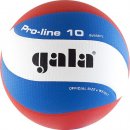 Gala : Мяч Gala Pro-Line 10 BV5581S 