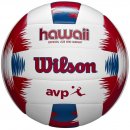 Wilson  : Набор мяч и фрисби Wilson Hawaii AVP WTH80219KIT 